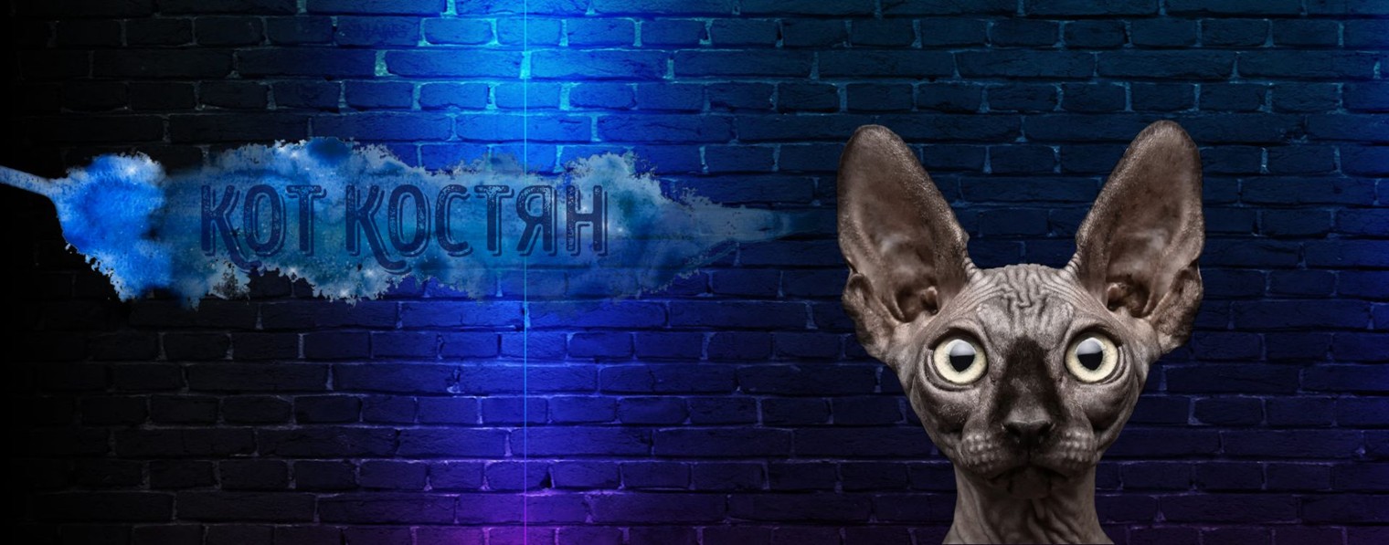 Кот Костян