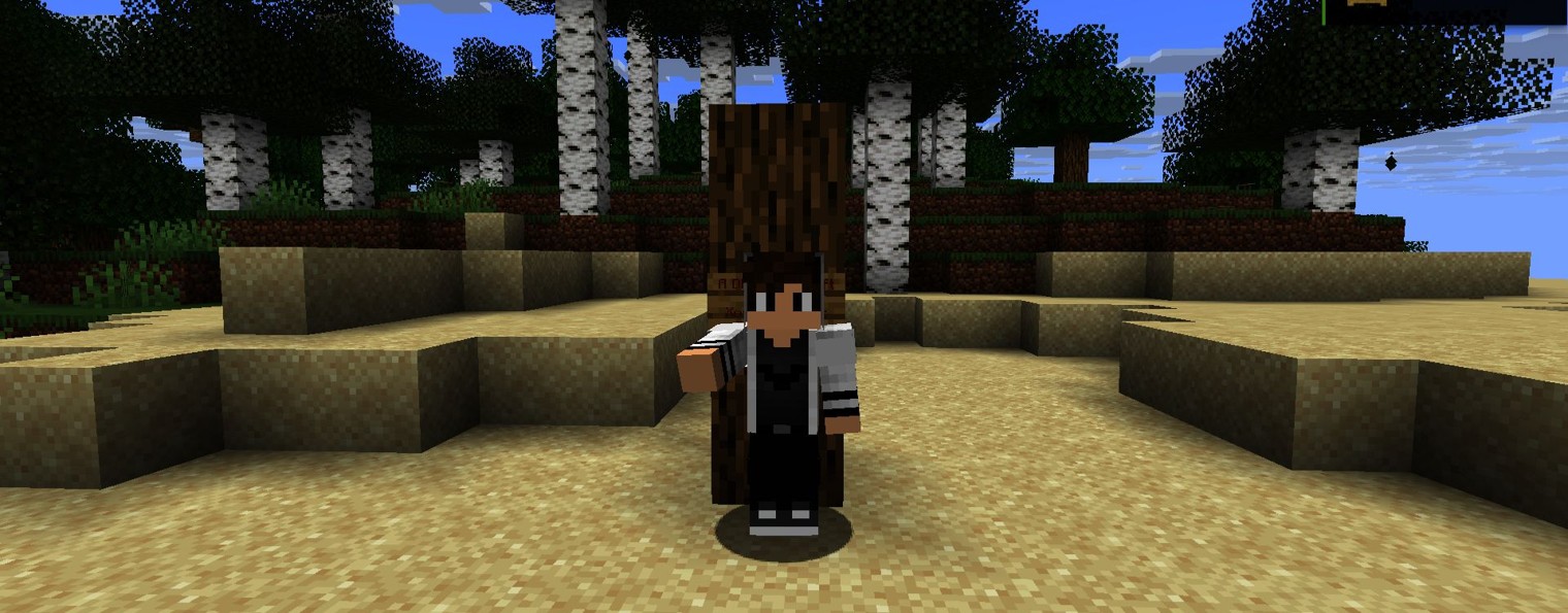DFedMinecraft