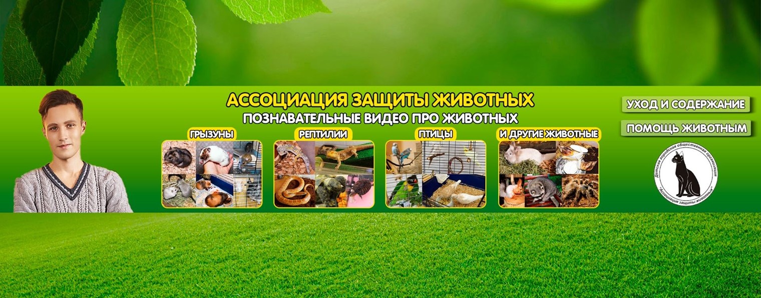 Anim Welfare