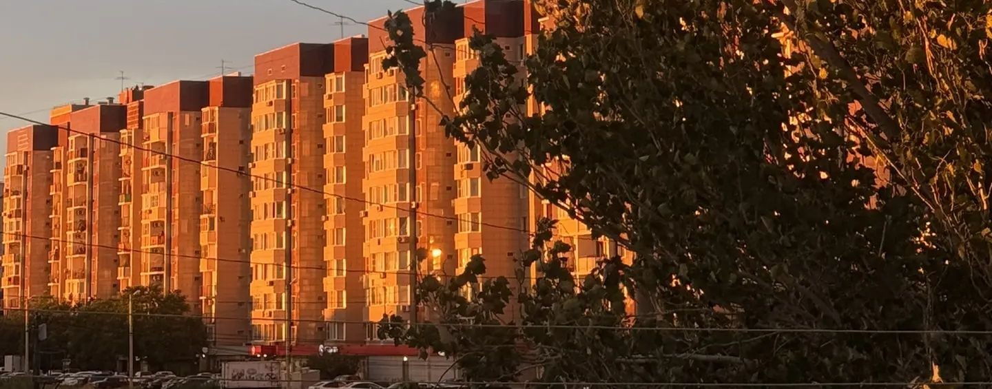 🪴Хомячок Жора, Жорик, Маша 🐹