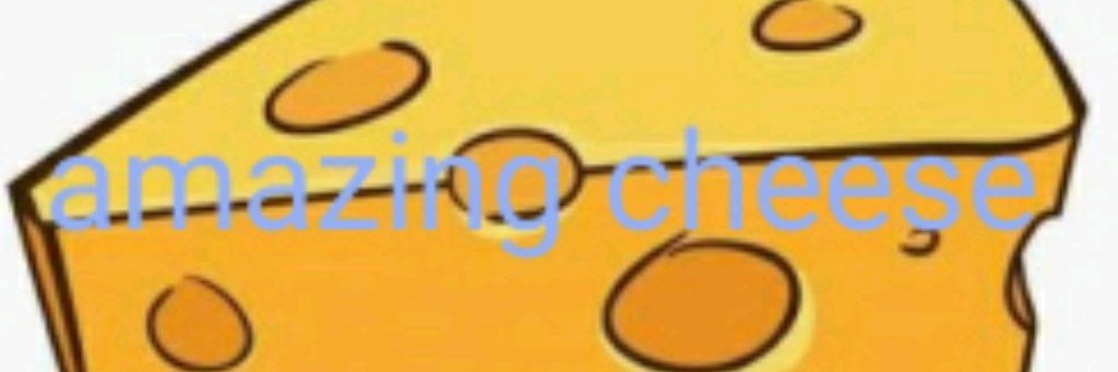 amazing_cheese