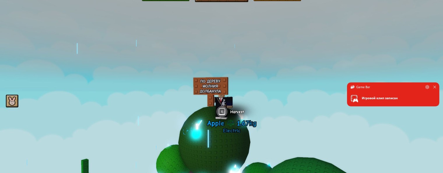 Segmental80