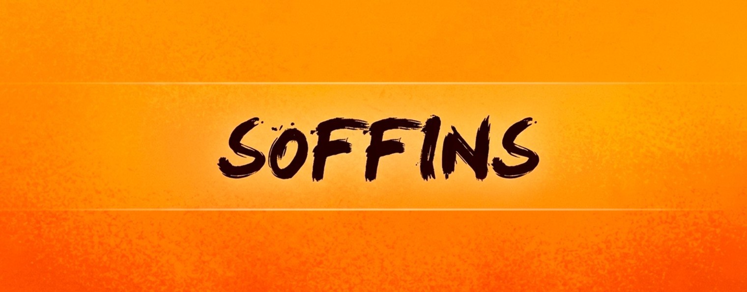 Soffins