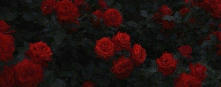 Ольга Заречнева