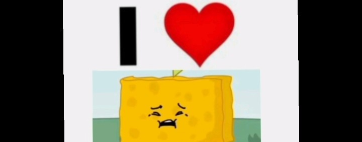 𝕓𝕚𝕣𝕔𝕙 𝕨𝕔 (spongy fanatic) (или ЧЕРНОГРВКА)