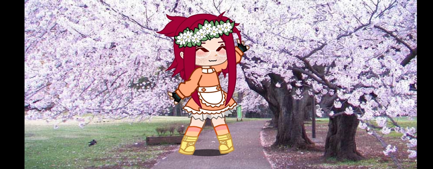 せんふあ！