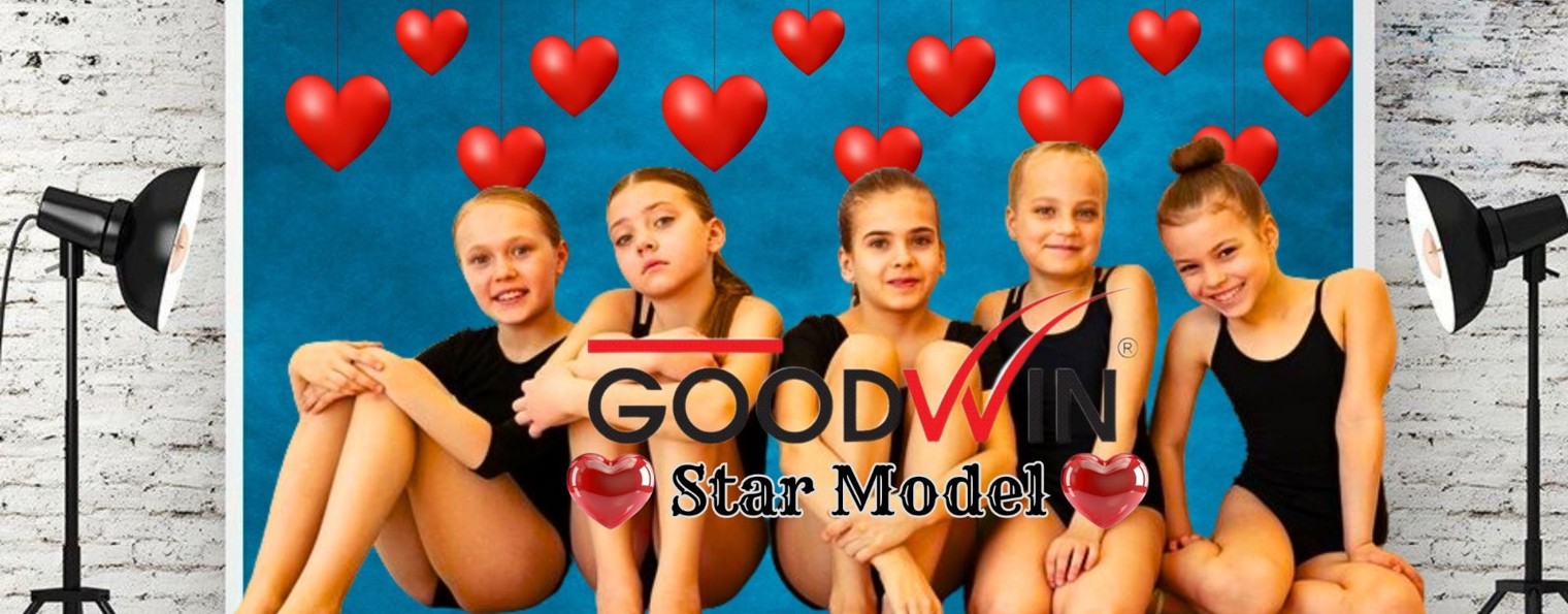 Goodwin Star Model