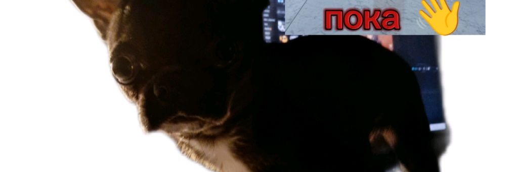 Харди плей