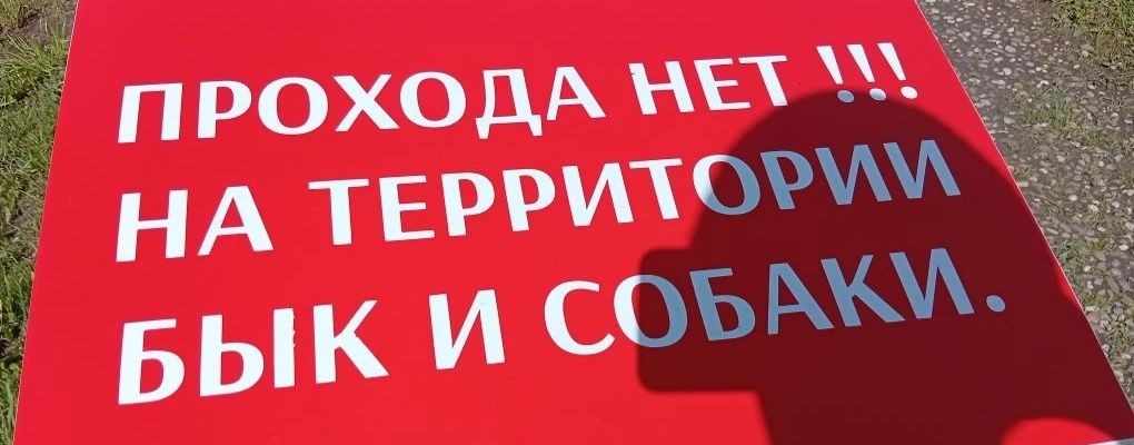 Шустрила