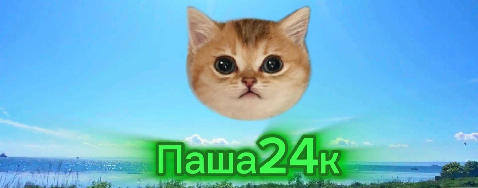 Паша24к