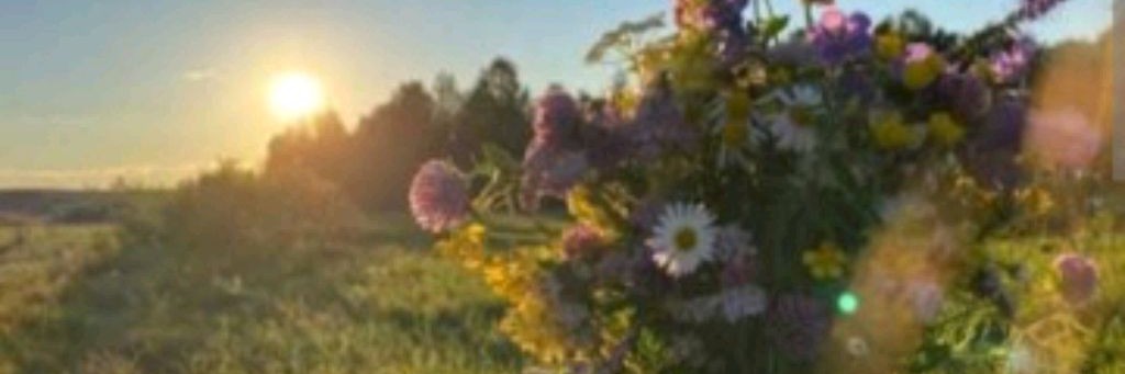 🍄🌼Племя Одуванчика🌼🍄