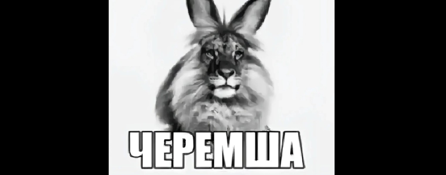 котолумбия ВЕРНУЛАСЬ ! ❤‍🩹