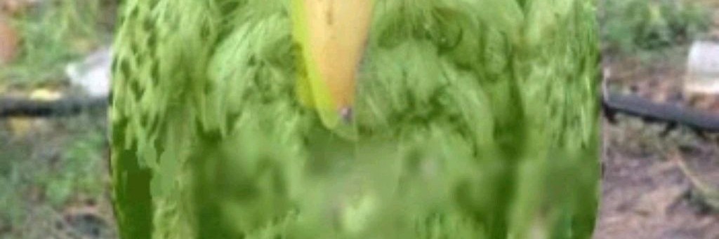 .̸̭̜̪̣̥̤̝̖̥̿̋̏̿̄͑̚͜͠.̵̤͔̣̖̫̦̜̞̼̒͗͛Blow::.̸̿̋̏̚