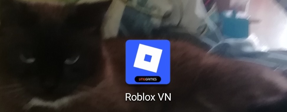 channel79280301