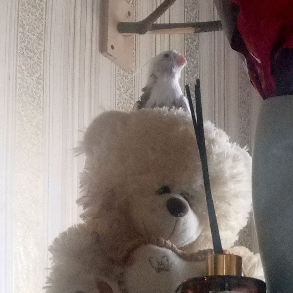 Яна Сердечко❤️