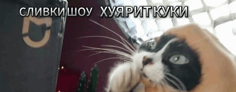 Иван Джевил ТV