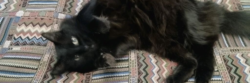 😺😺 Чуникс Клаб 😺😺