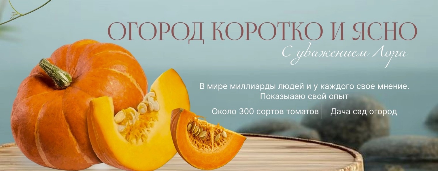 Чудо огород Коротко и ясно