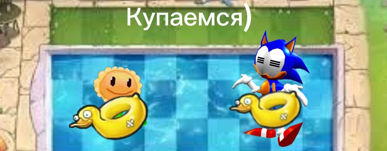 Рерайт В1 и Подсолнух ПВЗ