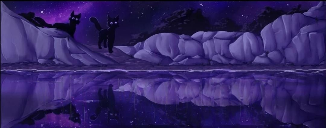 WARRIOR CATS ⚡