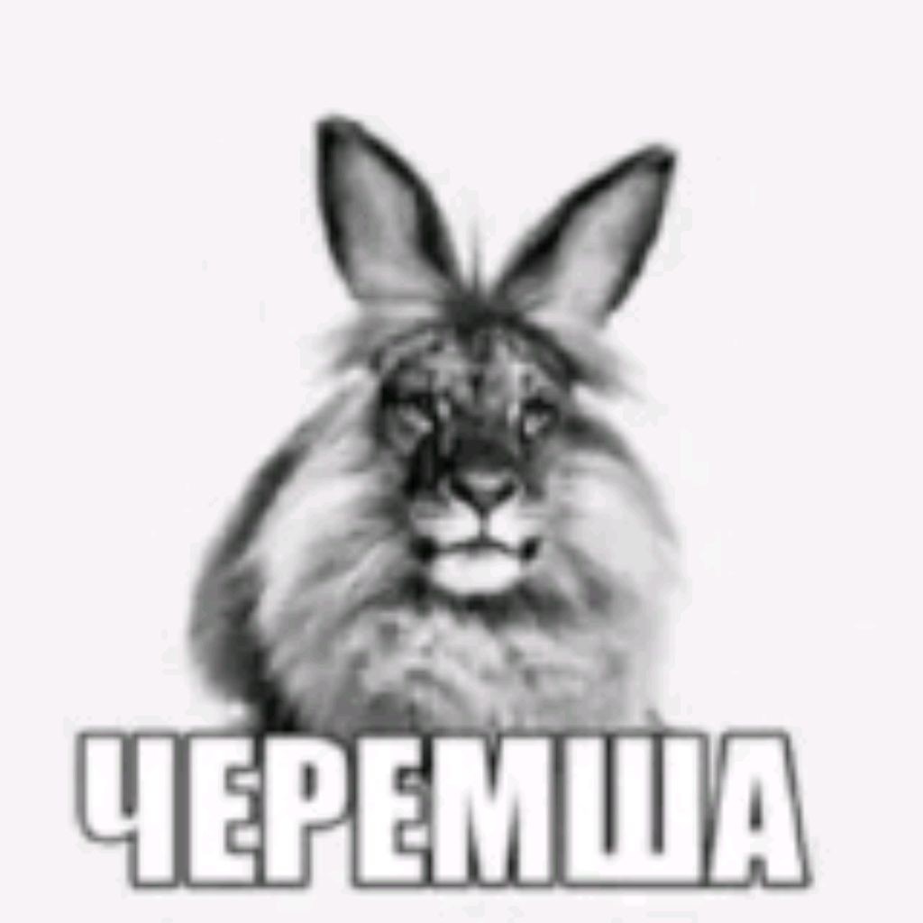 Летний Grantychenツ