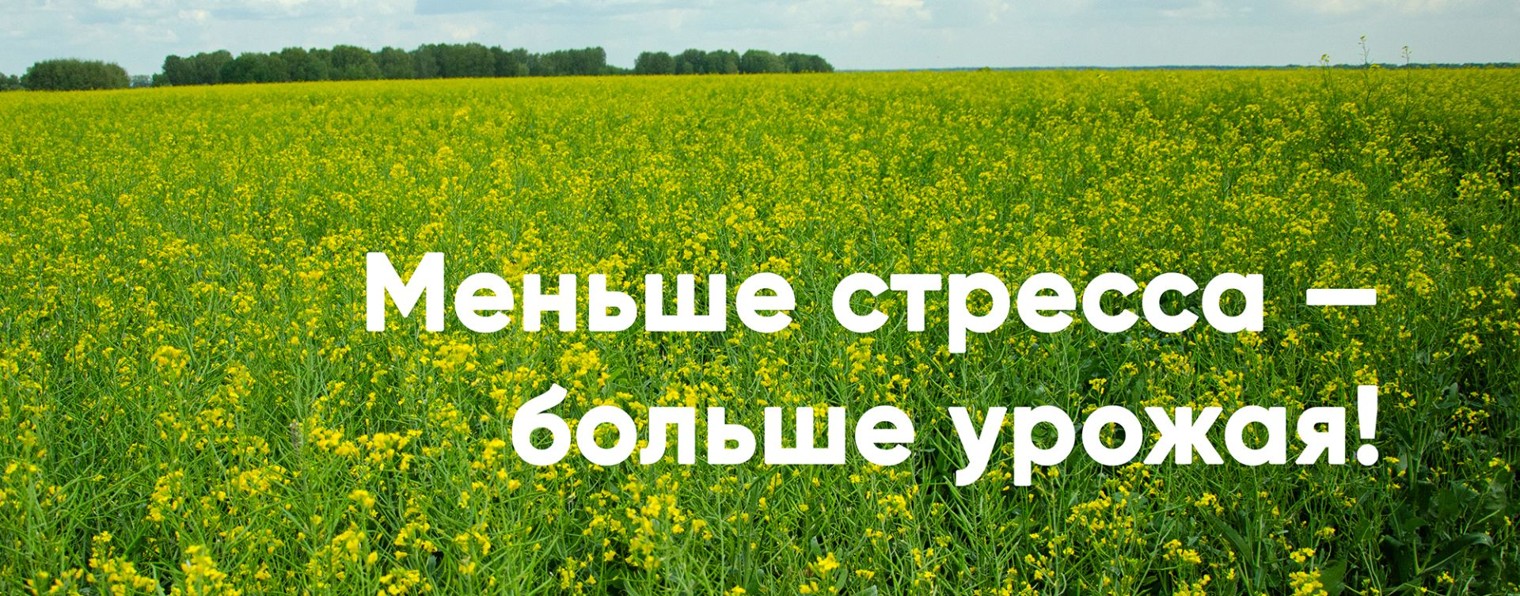Торфопродукт