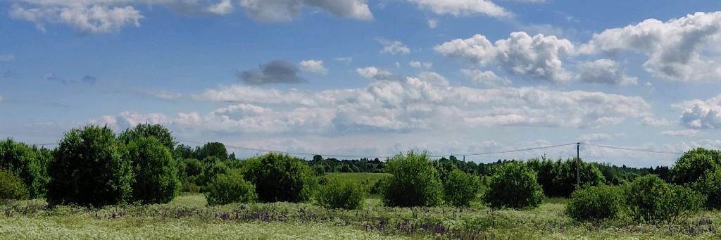 Ольга Троицкая