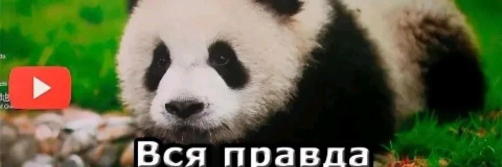 Илья неМуромец