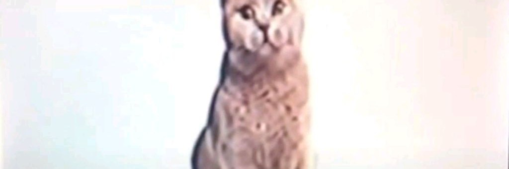Кот альтернатив