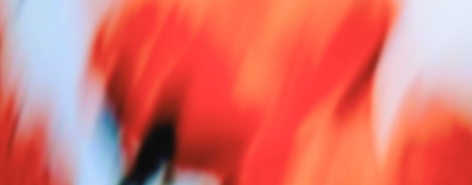 EYES_PLATFORM
