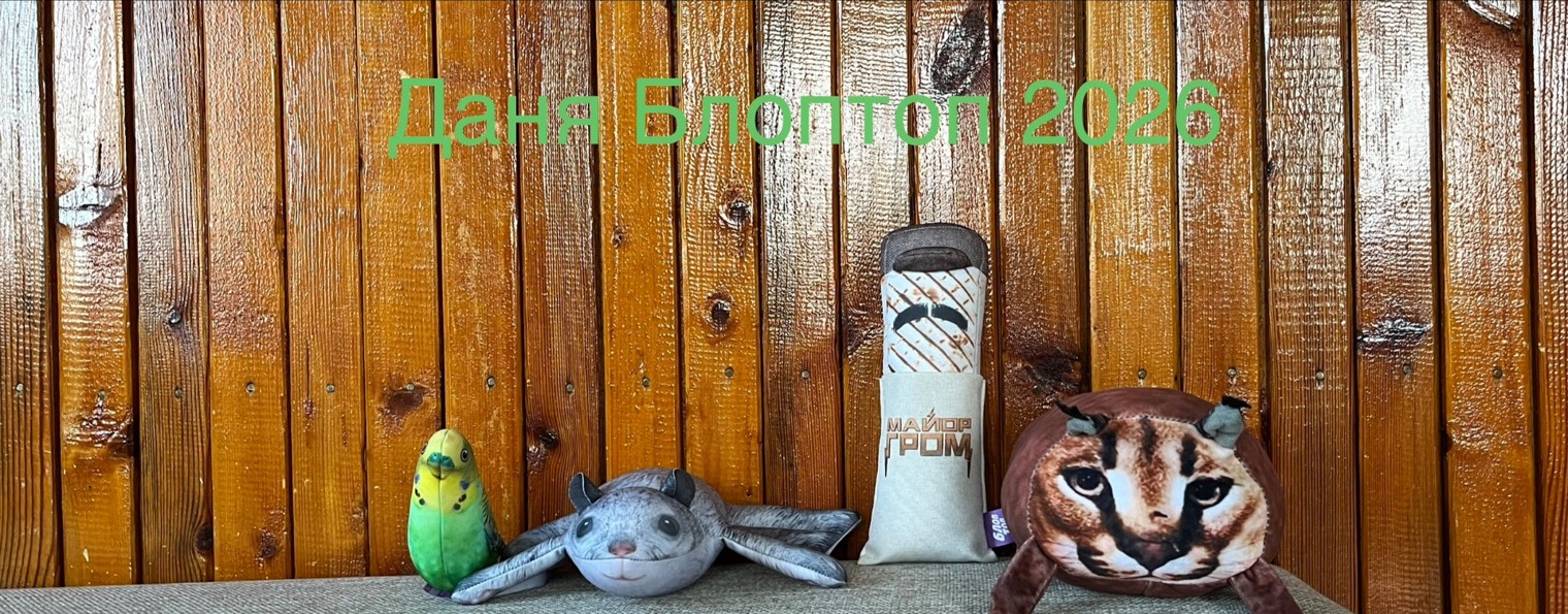 Даня Блоптоп✅