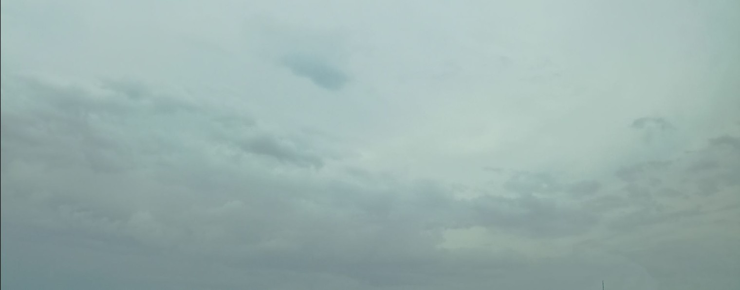 ЖЁЛТЫЙ_LEMON