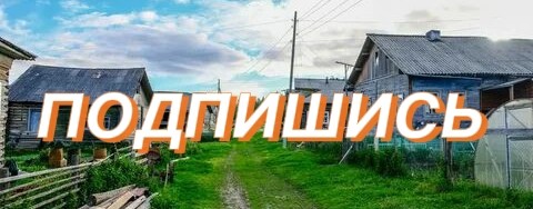 ✧༺✧спейч24к✧༻✧ Chiken Gun