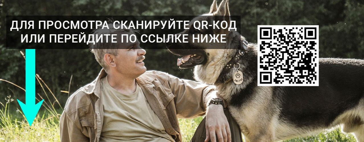 Леший 1, 2, 3, 4, 5, 6 серия смотреть онлайн 2026*