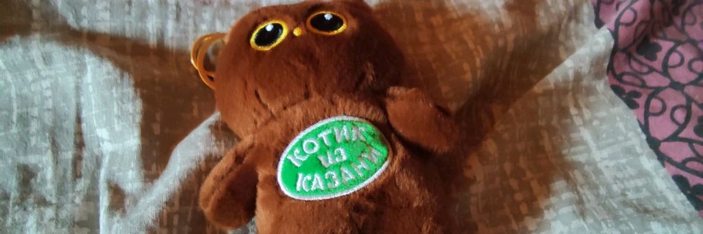 Кот 2033