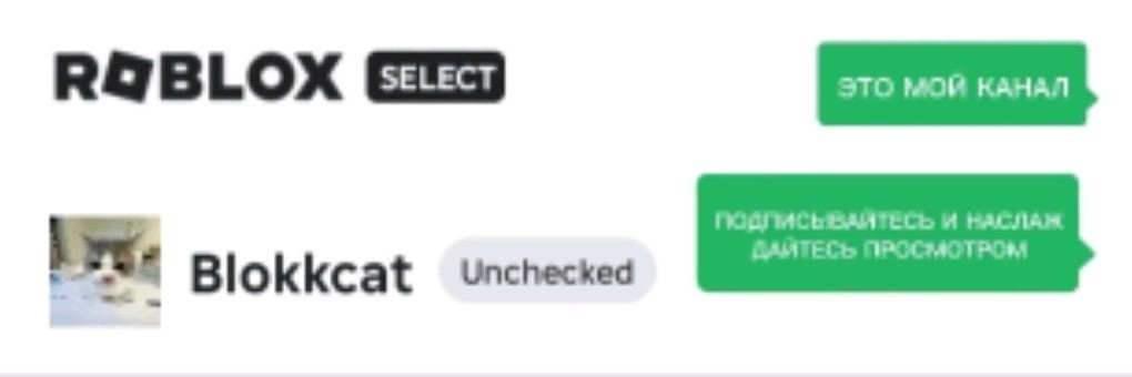 Роблоксерша Blokkcat