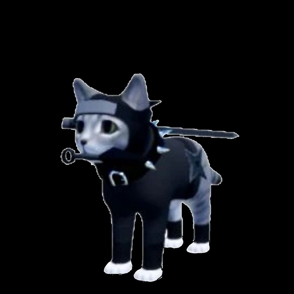 🥷﹤3нинзято¡!🗡️