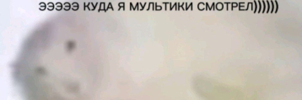 Стивокрипер