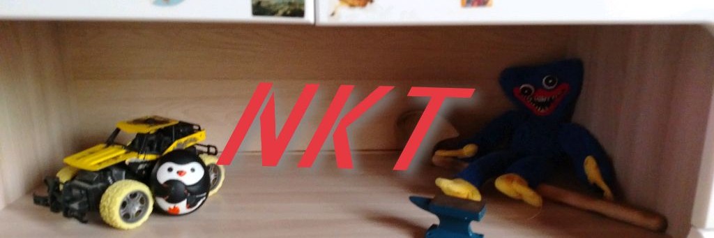 NkT