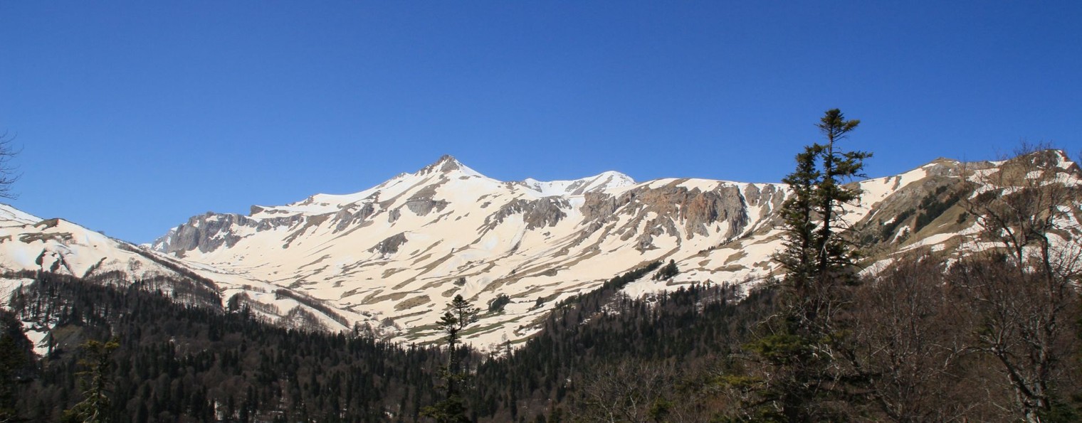 Alkairi