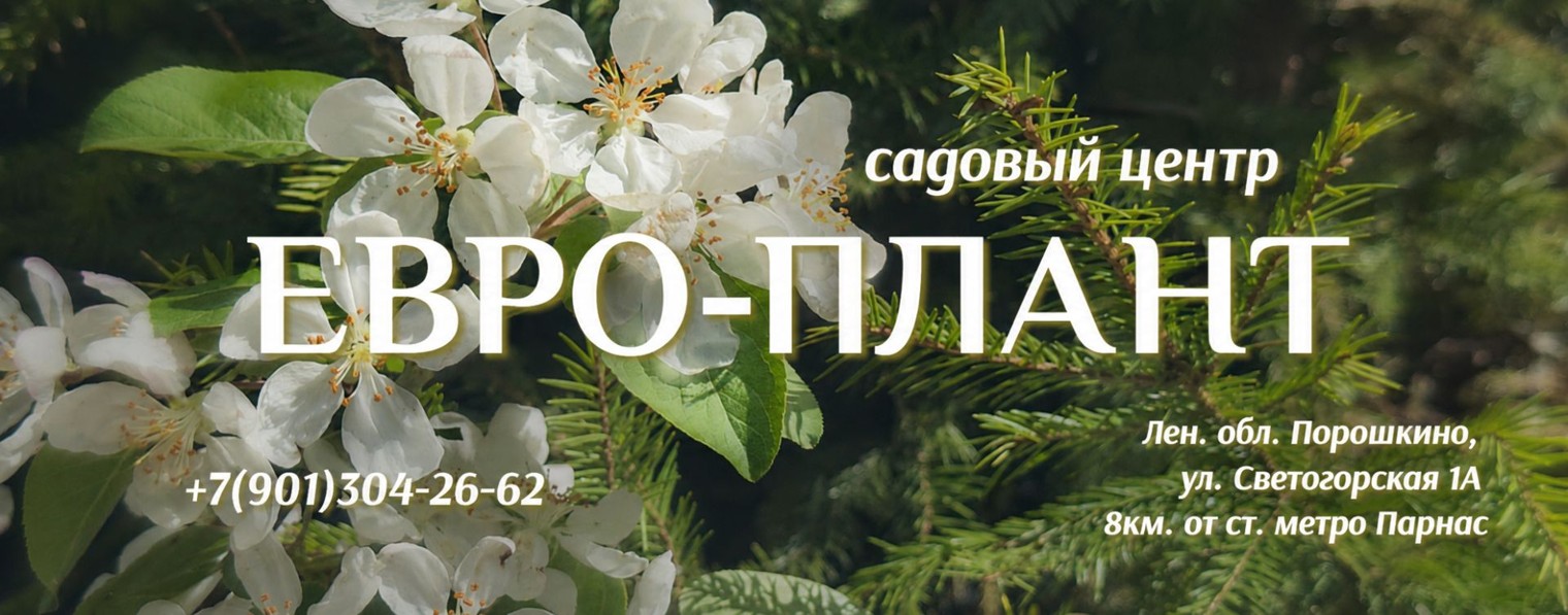 Евро-Плант