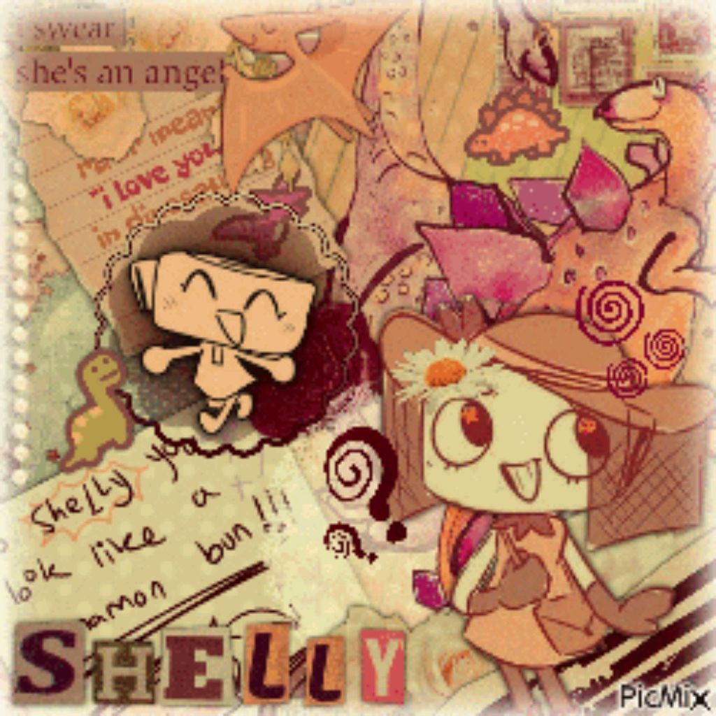 «STAR_SHELLY»