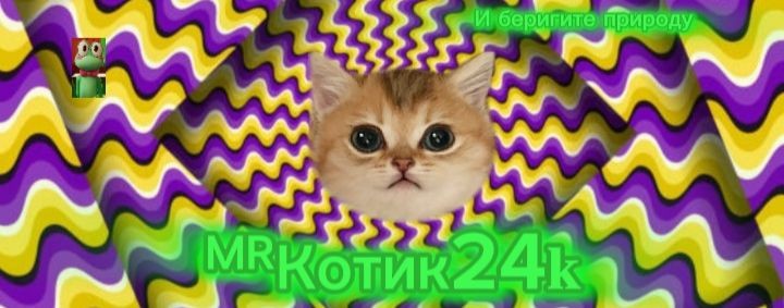 🍀✿༒︎•꧁🫪ᴹᴿКотик24𝐤🫪꧂•༒︎✿🍀