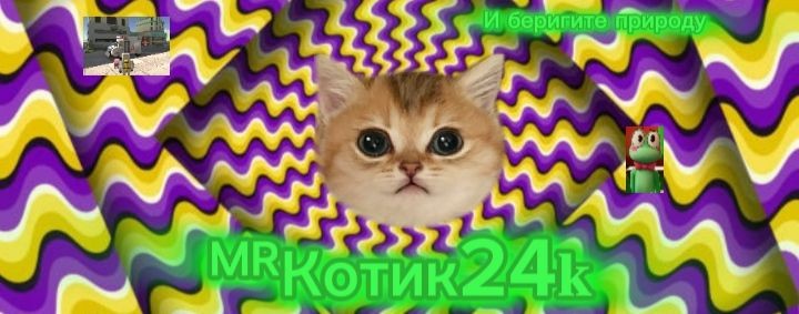 🍀✿༒︎•꧁🫪ᴹᴿКотик24𝐤🫪꧂•༒︎✿🍀