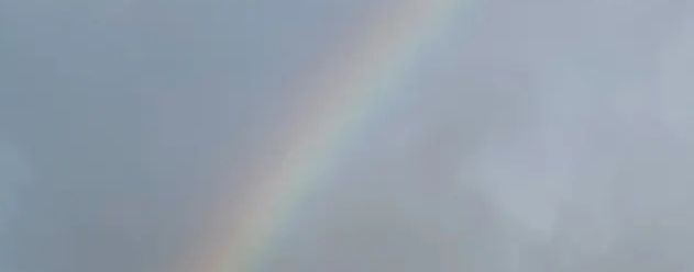 🌈MASHKINS🌈