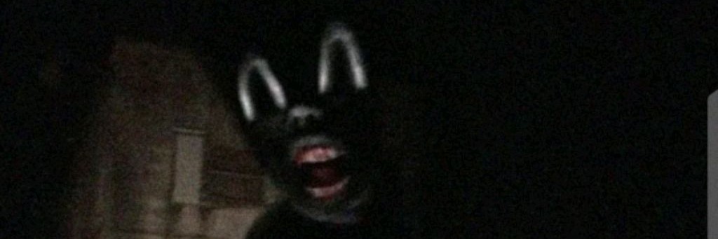 Cartoon Cat