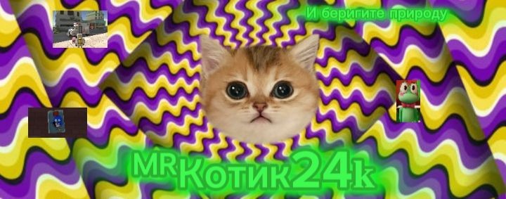 🍀✿༒︎•꧁🫪ᴹᴿКотик24𝐤🫪꧂•༒︎✿🍀