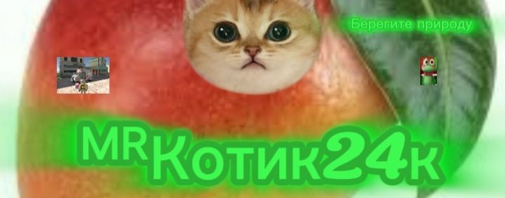 ꧁🫪ᴹᴿКотик24𝐤🫪꧂