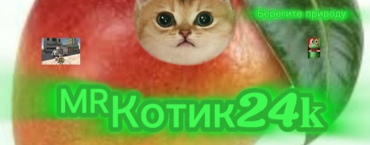 ꧁🫪ᴹᴿКотик24𝐤🫪꧂