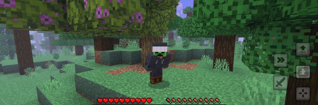 haJas_Games✔️